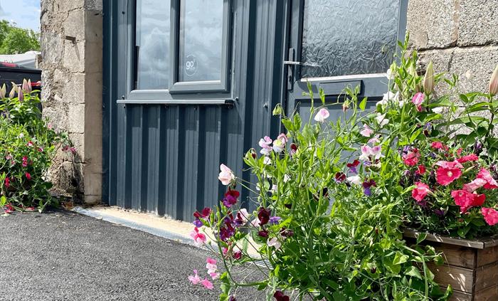 utility area welcomed with beautiful planters with plants in full bloom